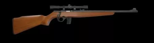 802 BANTAM BOLT 22LR WD SCOPE#