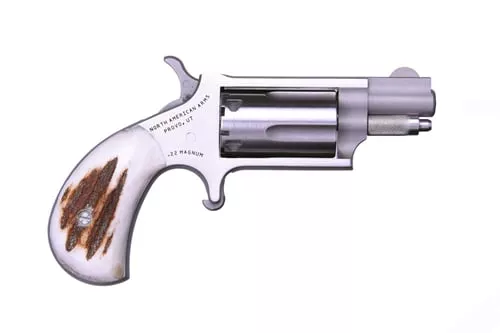 MINI 22MAG REV 1-1/8" SS STAG