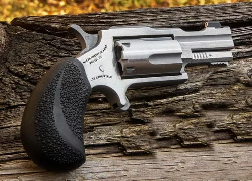 NAM MAGNUM BUG II 22M SS TALO