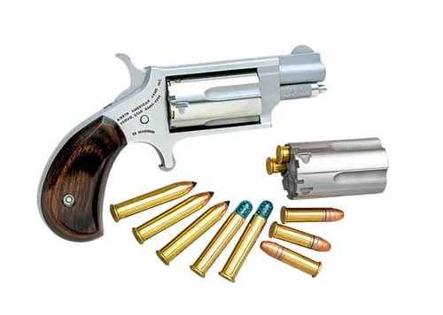 North American Arms 22MSC Mini