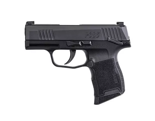 P365 380ACP BLK 10+1 NS SFTY #