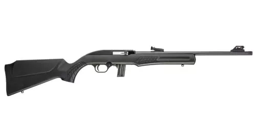 RS22 22LR BLK/SYN 18" 10+1 TB