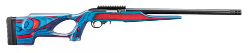 RUGER 10/22 USA SHOOTING 2024