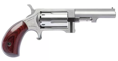 SIDEWINDER 22MAG 2.5" SS | NAA